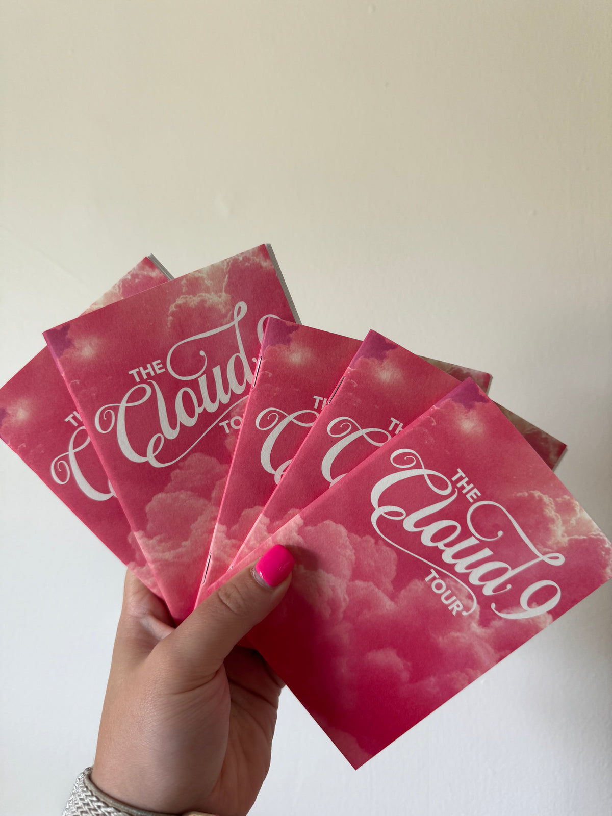 Cloud 9 Passport + Passport Stickers